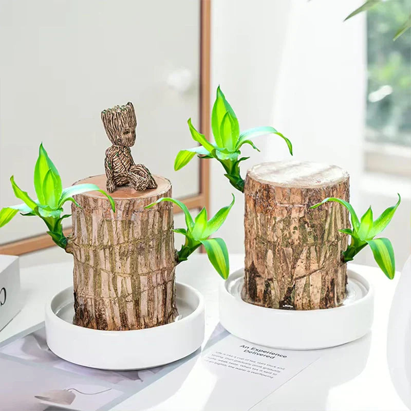 🌱✨ Magical Groot Plant Pot — Bring Life & Joy to Your Space