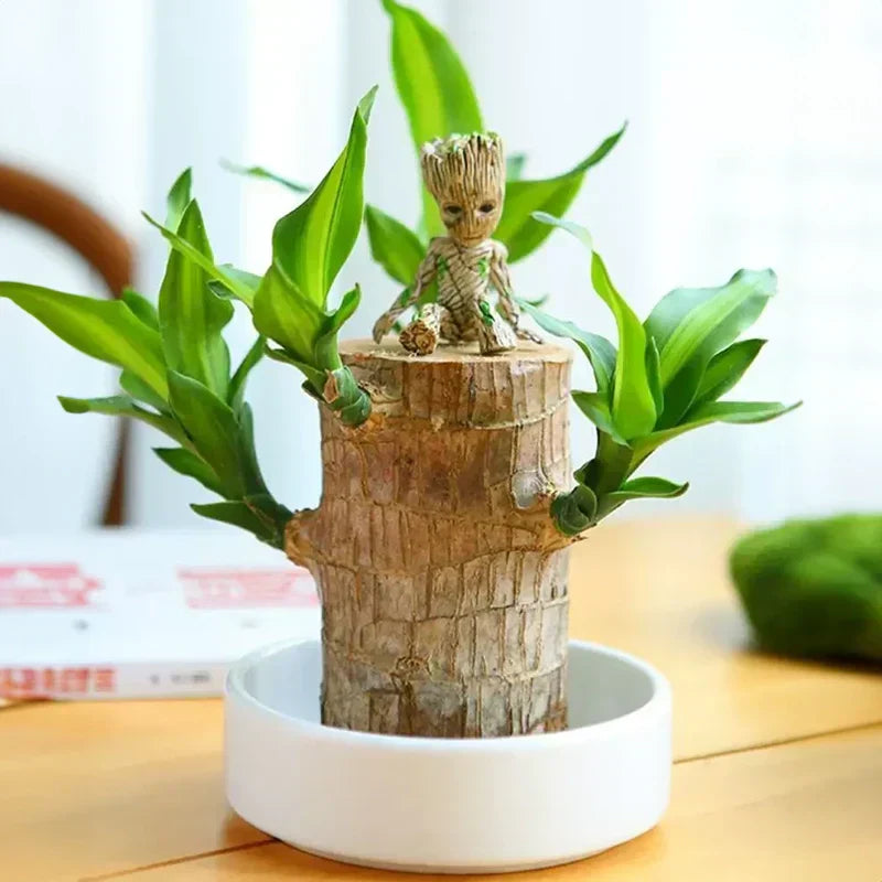 🌱✨ Magical Groot Plant Pot — Bring Life & Joy to Your Space