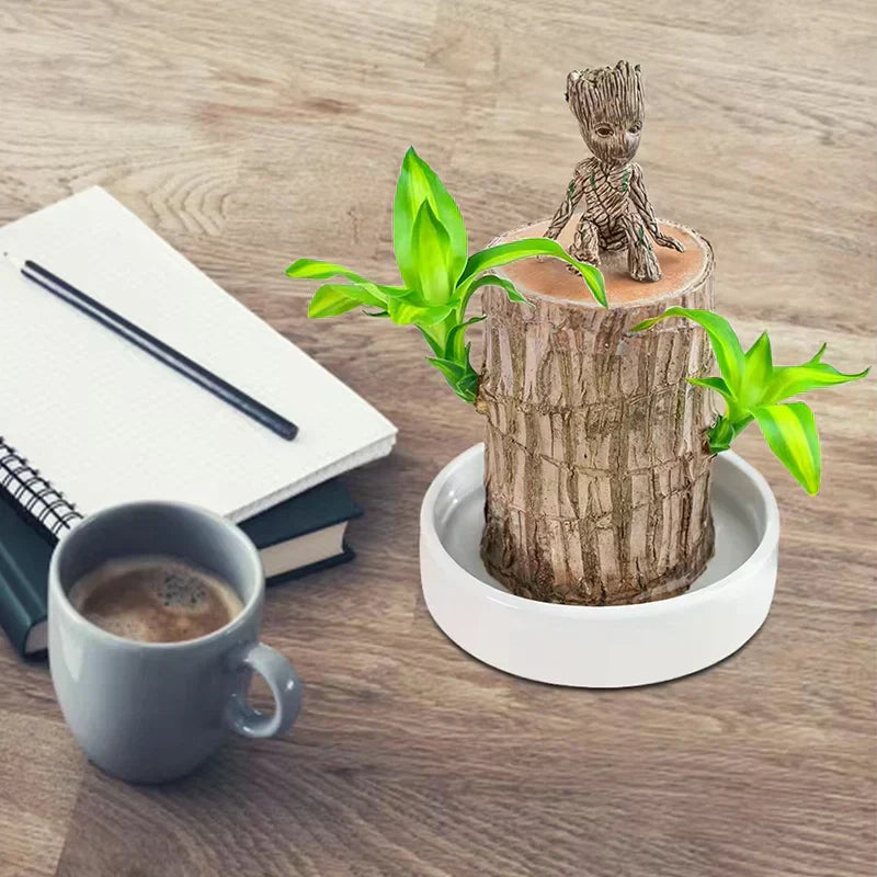🌱✨ Magical Groot Plant Pot — Bring Life & Joy to Your Space