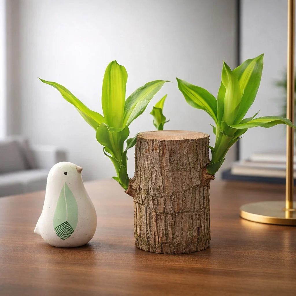 🌱✨ Magical Groot Plant Pot — Bring Life & Joy to Your Space