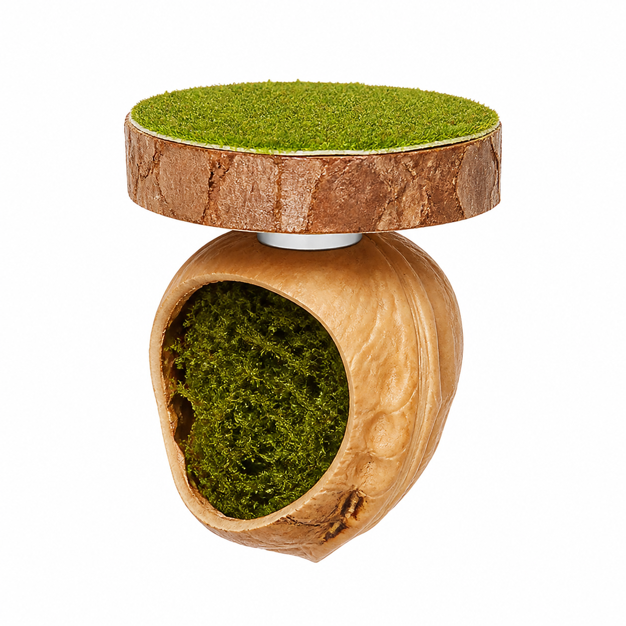 Walnut Micro Hide for Jumping Spider Enclosures product-only white background image