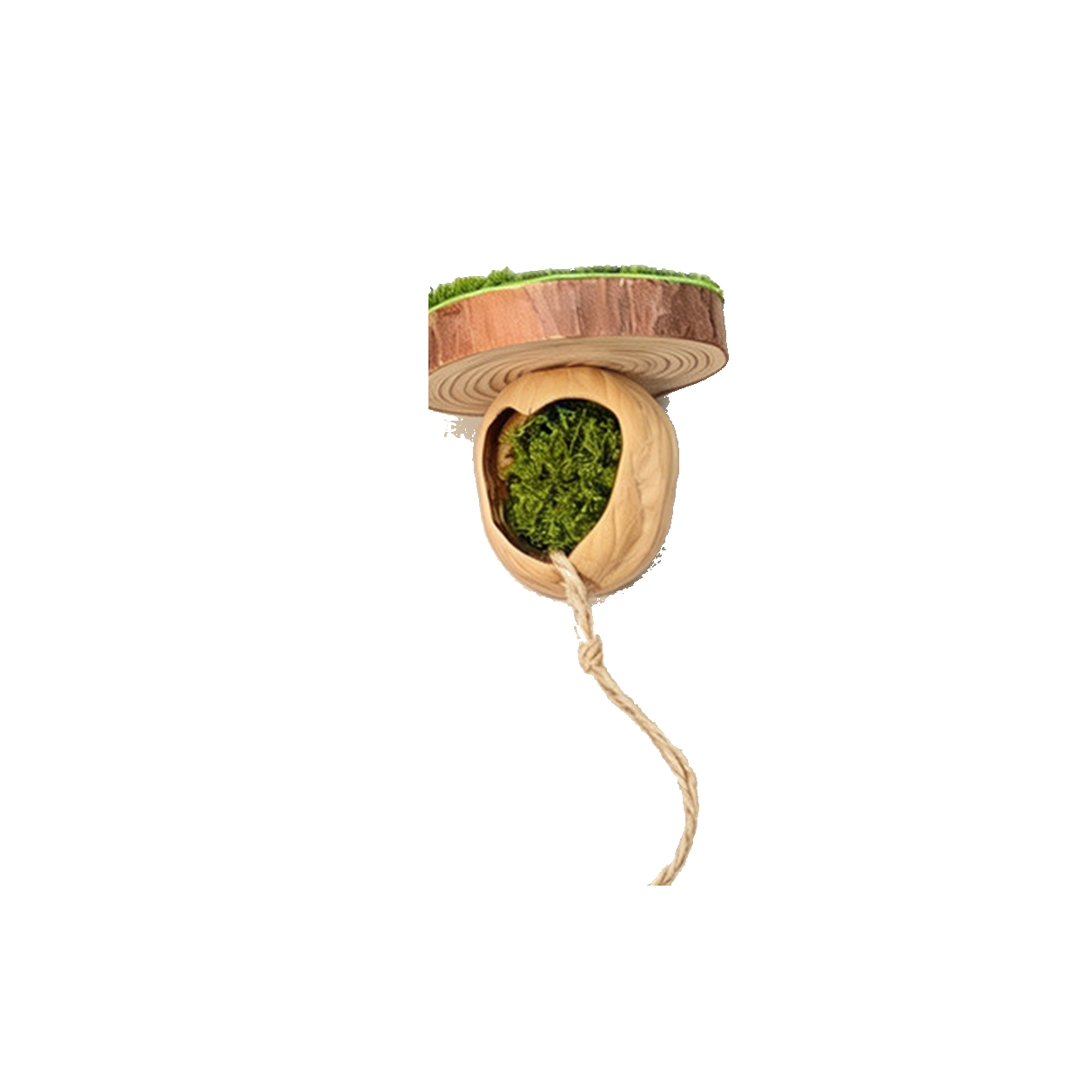 Wall-Mount Walnut Pod Hide for Micro Gecko Habitats product-only white background image