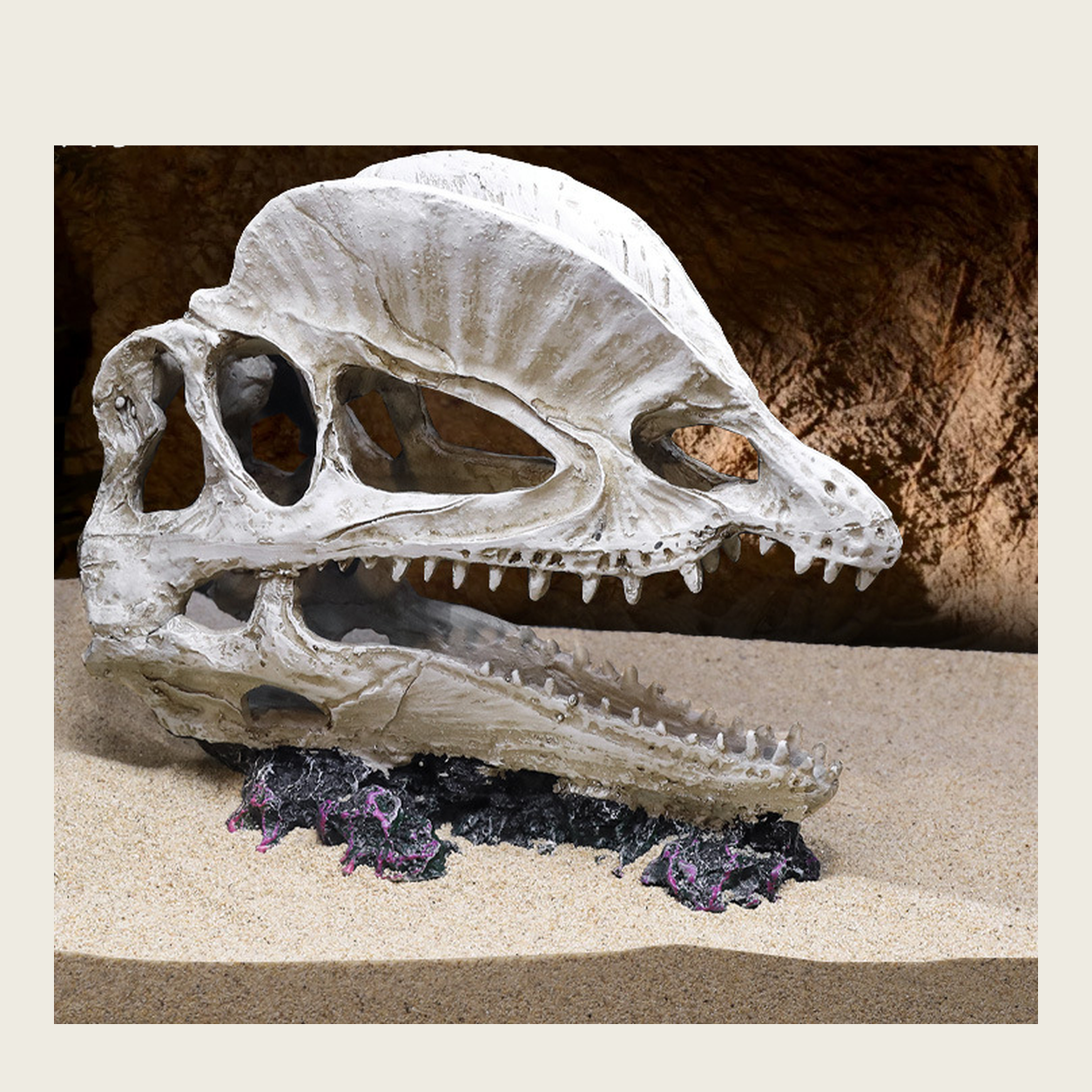 Long-Beak Fossil Skull Hide for Gothic Terrariums clean product-only image