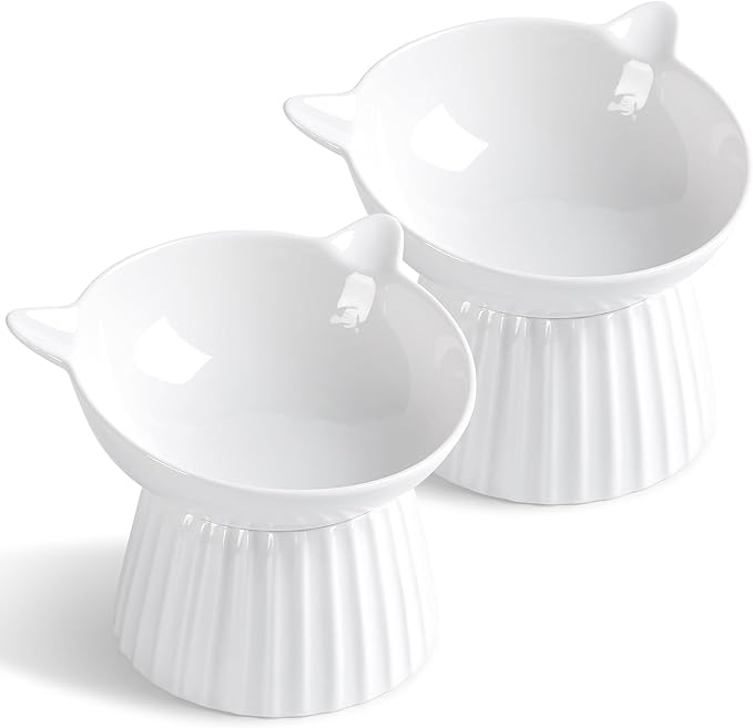Tilted Raised Ceramic Cat Bowl, Whisker Friendly Anti-Vomit Feeder for Cats & Puppies