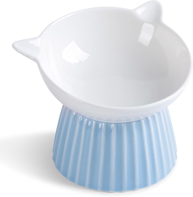 Tilted Raised Ceramic Cat Bowl, Whisker Friendly Anti-Vomit Feeder for Cats & Puppies