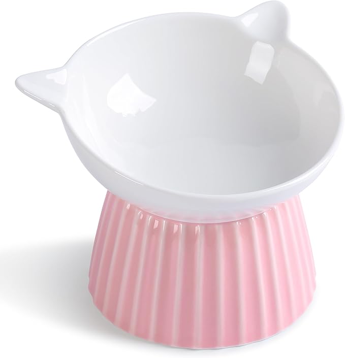 Tilted Raised Ceramic Cat Bowl, Whisker Friendly Anti-Vomit Feeder for Cats & Puppies