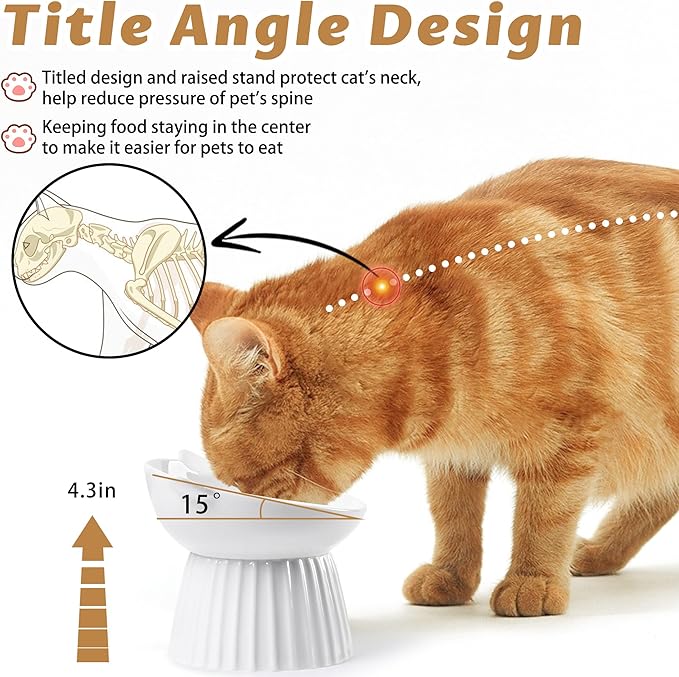 Tilted Raised Ceramic Cat Bowl, Whisker Friendly Anti-Vomit Feeder for Cats & Puppies