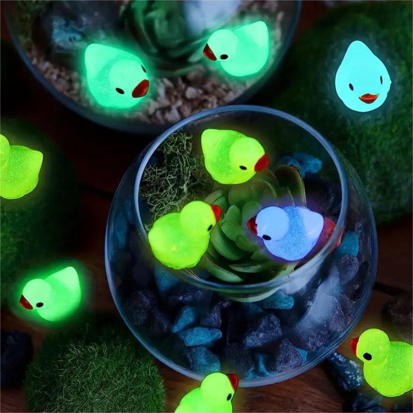 Challenge Hiding 100 Mini Ducks🦆