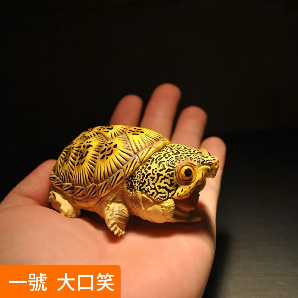 心寬體胖龜模型頭龜模型玩具陸龜手辦收藏把玩陸龜模型擺件