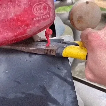20210610162330452920845.gif