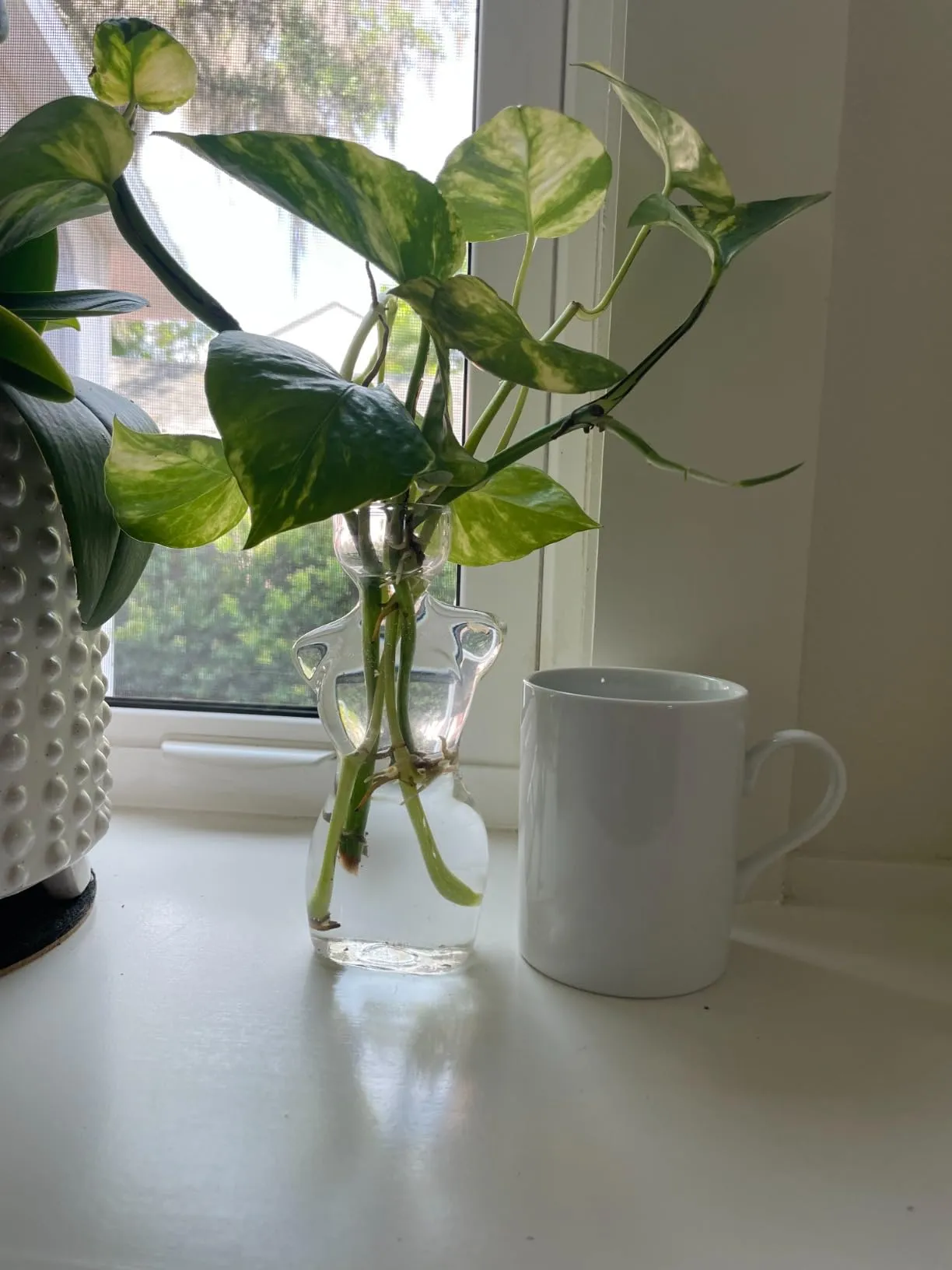 Cute but small