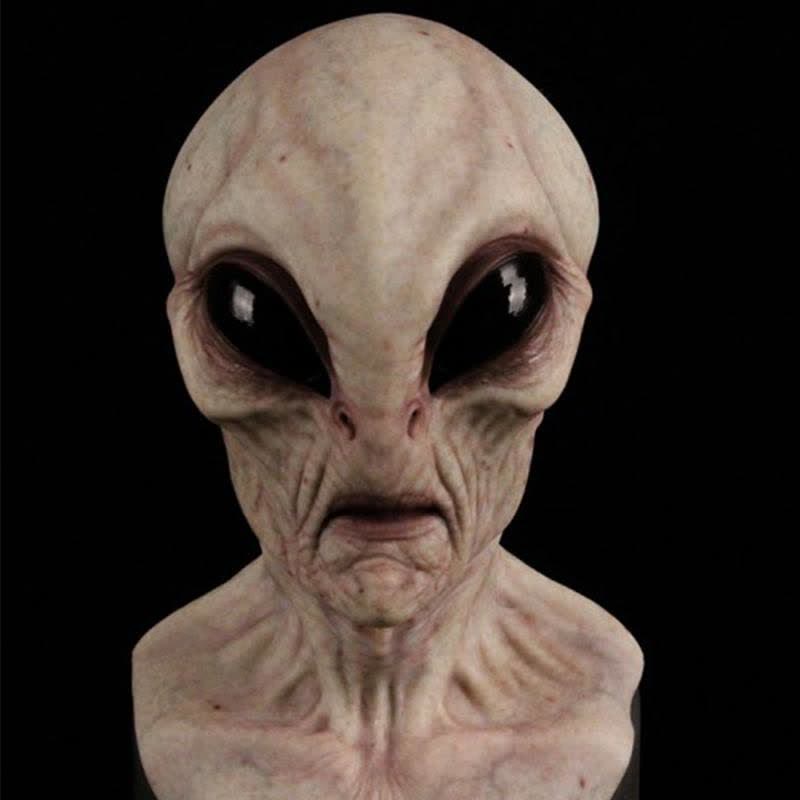 Realistic Alien Mask - Grey Alien - one size - image 1