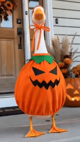 Goose in Halloween Outfit