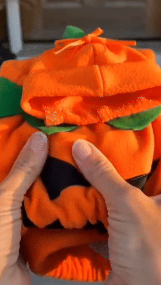 Goose Halloween Decor