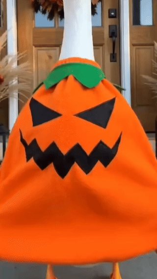 Pumpkin Goose Outfit