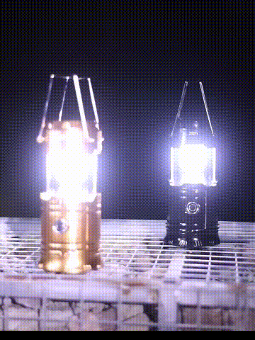3-f528d3ae2c7ee7d3e4a545ad33ecbe5e.gif