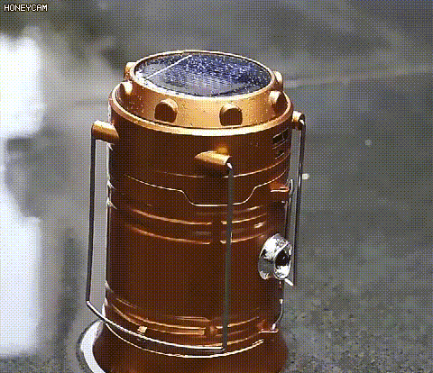 100.gif