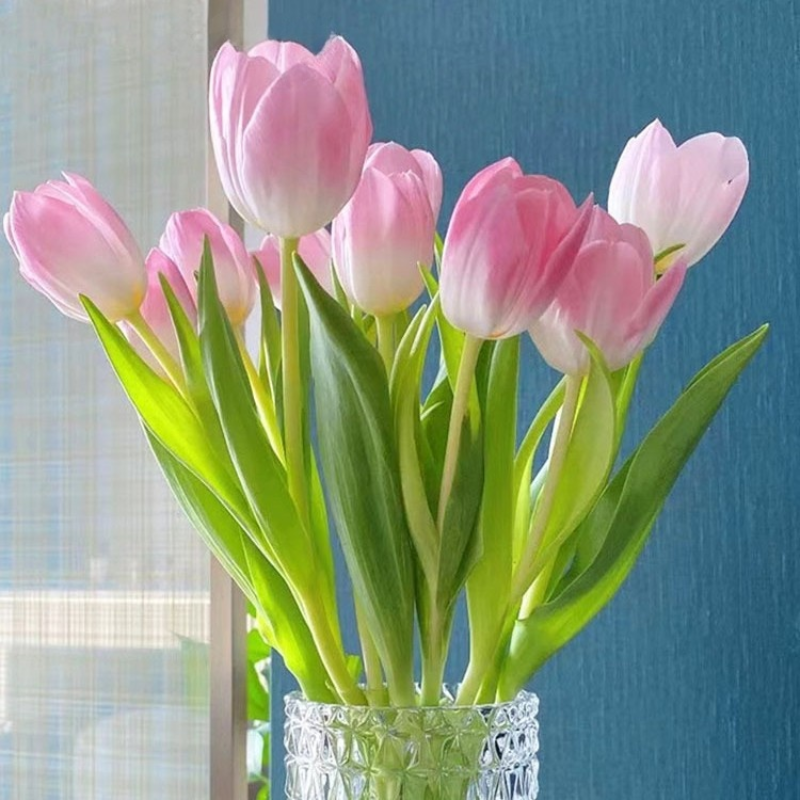 Tulipany hydroponiczne