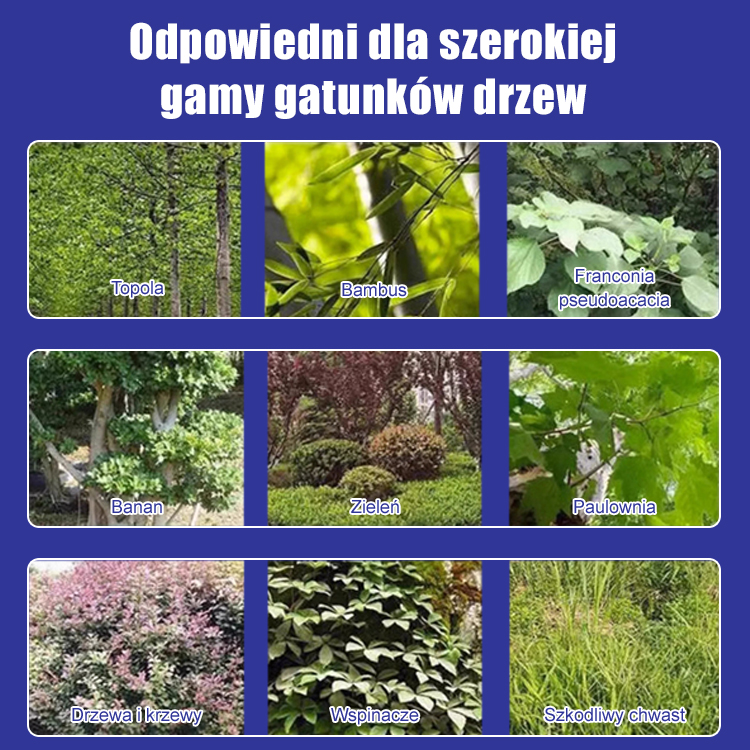 [Gwarancja zwrotu pieniędzy] Profesjonalny, wysoce skuteczny środek do usuwania korzeni 🌳 | Usuwa drzewa, bambusy i chwasty | Nie niszczy gleby | Skuteczność 24 godziny | Ochrona do 1 roku