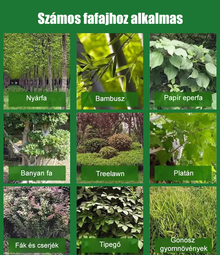 [Pénzvisszafizetési garancia] Professzionális, nagyon erős gyökérirtó szer 🌳 | Eltávolít fákat, bambuszt és gyomokat | Talajbarát | Már 24 órán belül hatékony | 1 évig tartós védelem