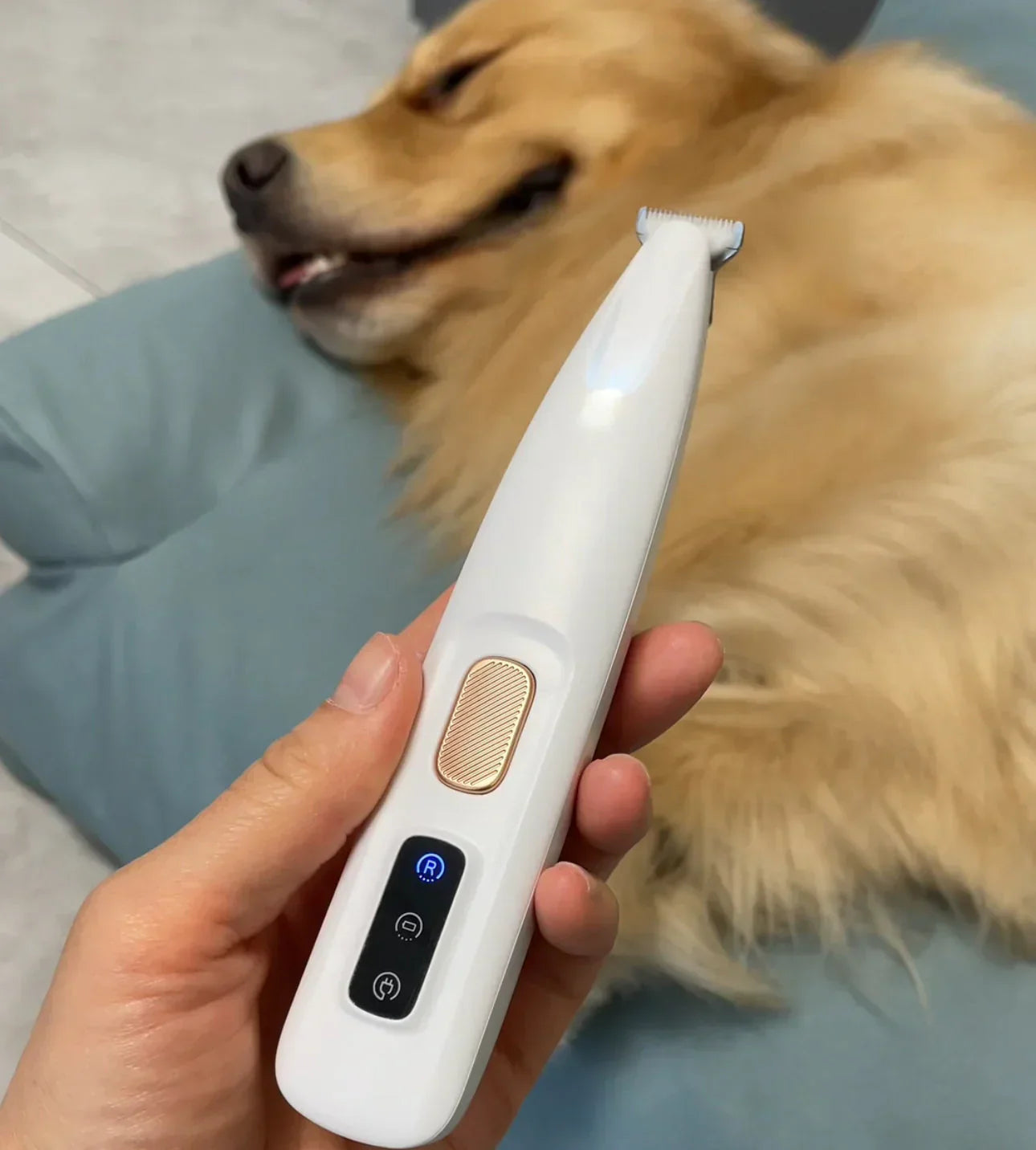 ✂️🐾 Präziser Tierhaarschneider – Sichere Fellpflege für Pfoten, Augenpartie und Schwanz mit LED-Licht