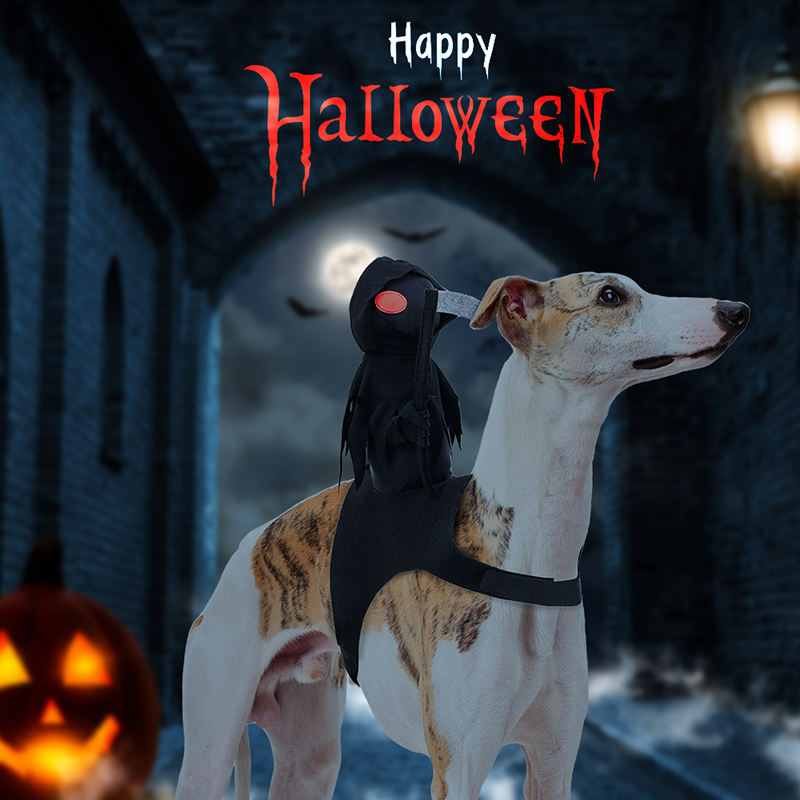 Dark Harvest Knight Transformation Pet Costume - One Tiny Rider. A Whole Lot of Howls. detail 1