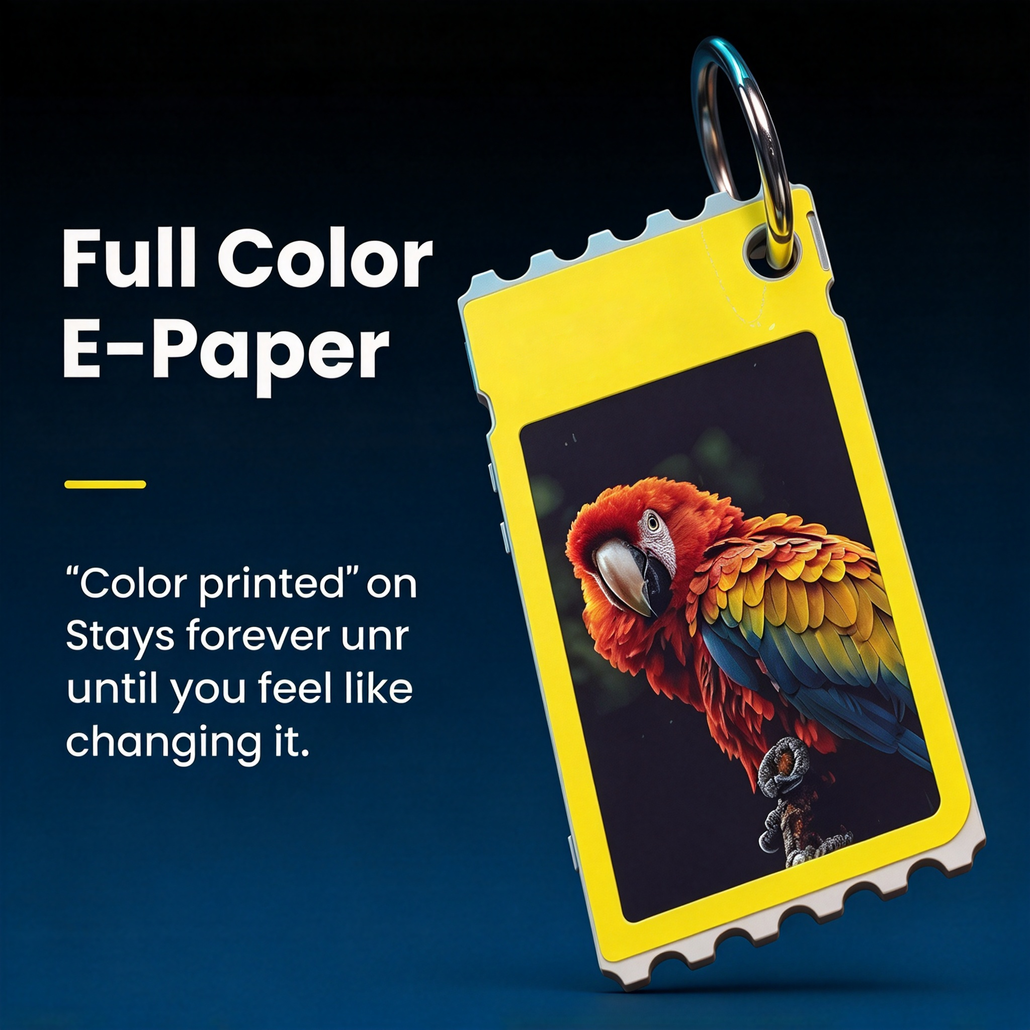 A Customizable Clip-On Color E-Paper Card