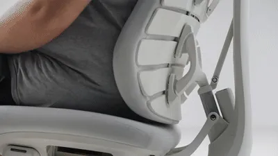Dynamic Bionic Spine Tracking