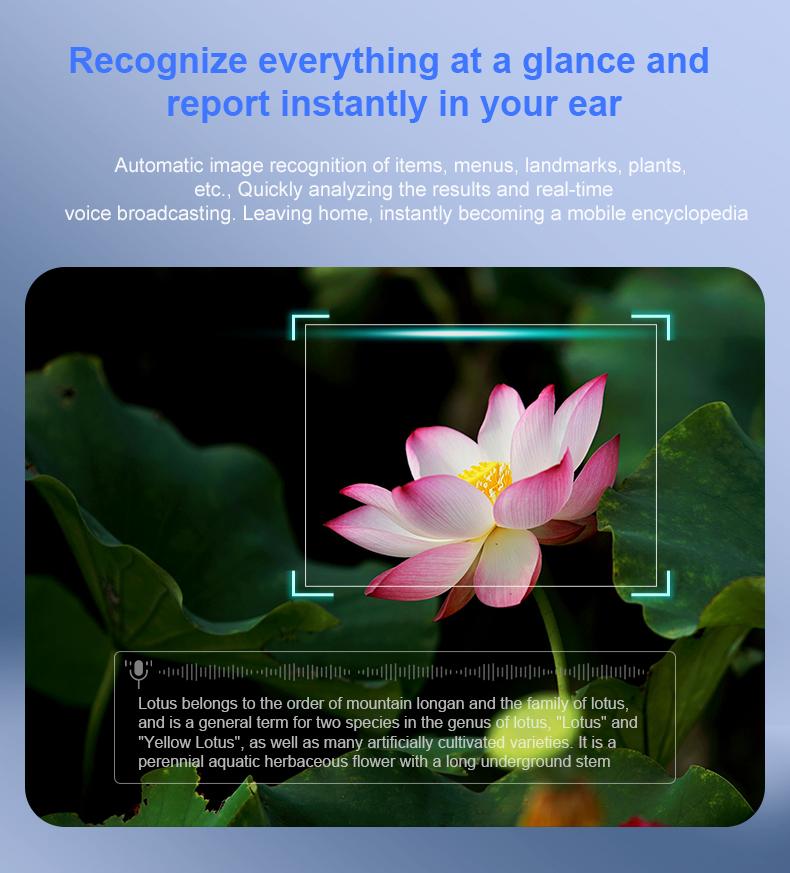AI image recognition &mdash; identify items, landmarks, plants, and menus