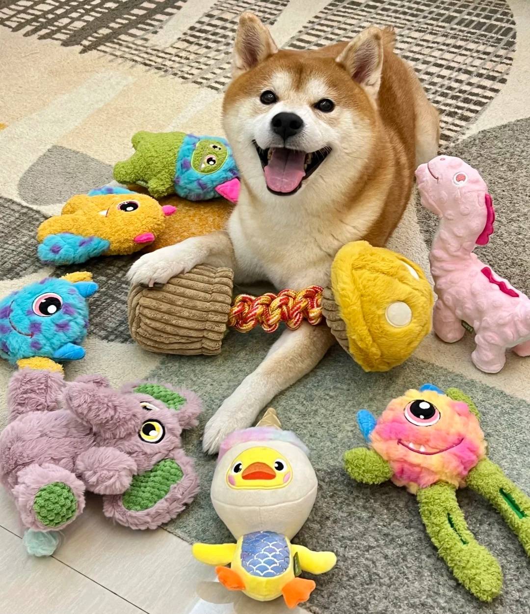 🐶 Pet Supplies
