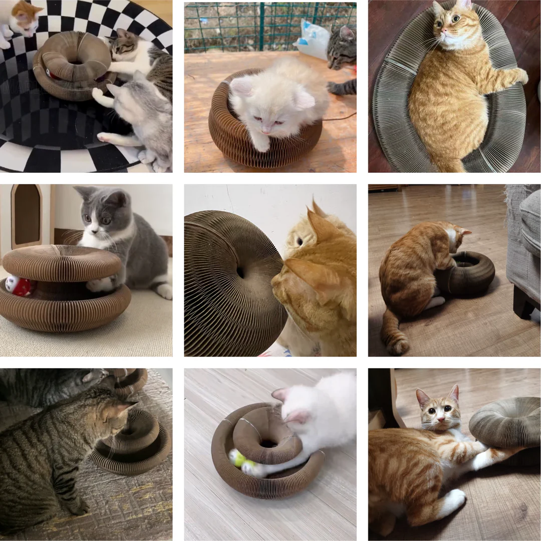 Interactive Cat Scratcher Toy with Bell â Durable Corrugated Paper, Foldable & Multi-Shape