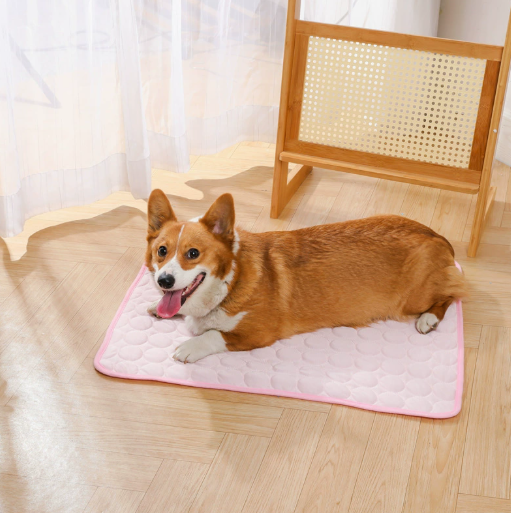 🌞Nyári akció🧊Prémium hűtőszőnyeg háziállatoknak 🐶