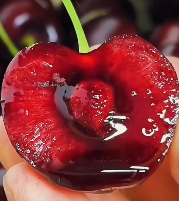 🍒 Cseresznyefák termesztése – Prémium magok kertbe, farmra és nagy cserepekbe