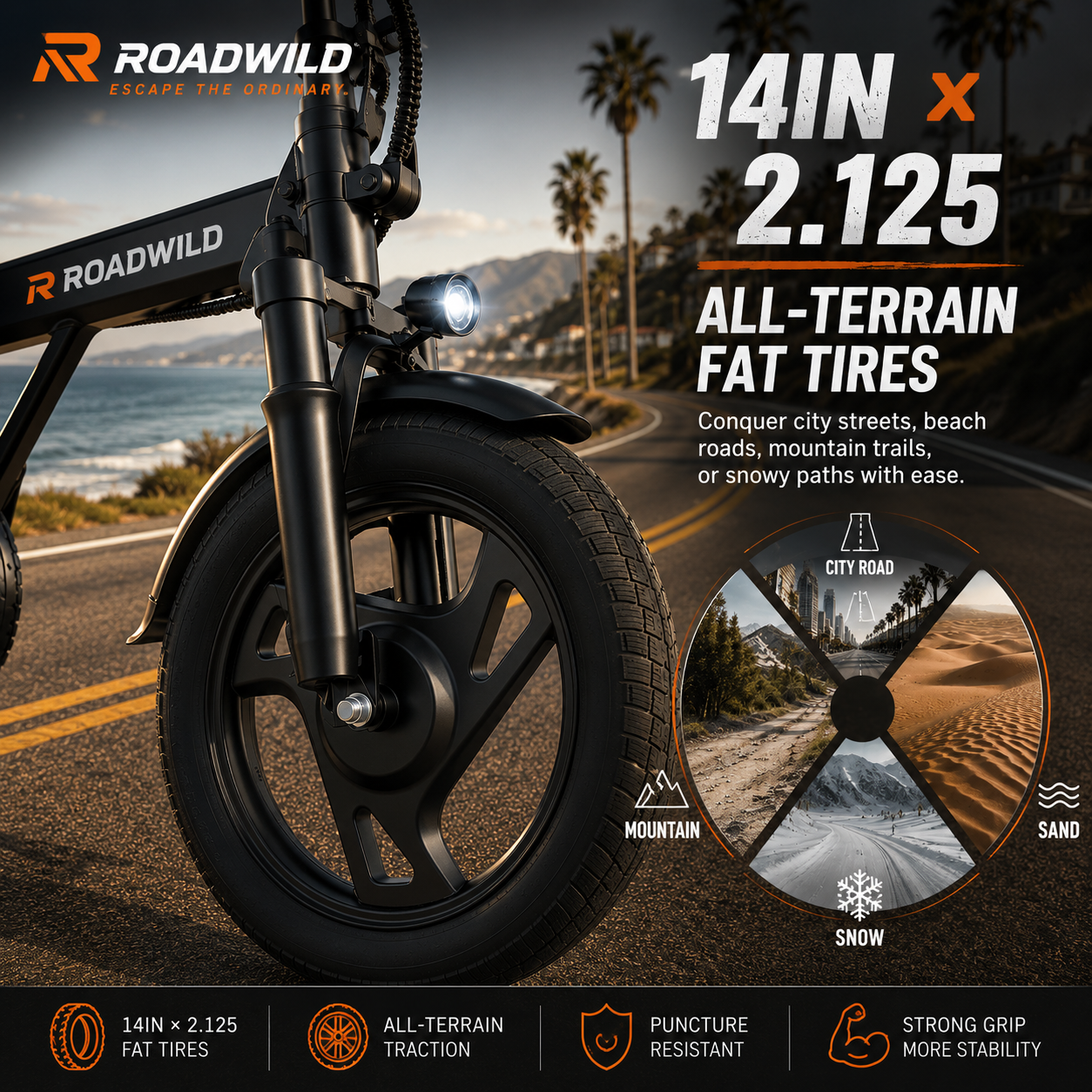 ROADWILD COASTRUNNER Y Electric Bike - Package View