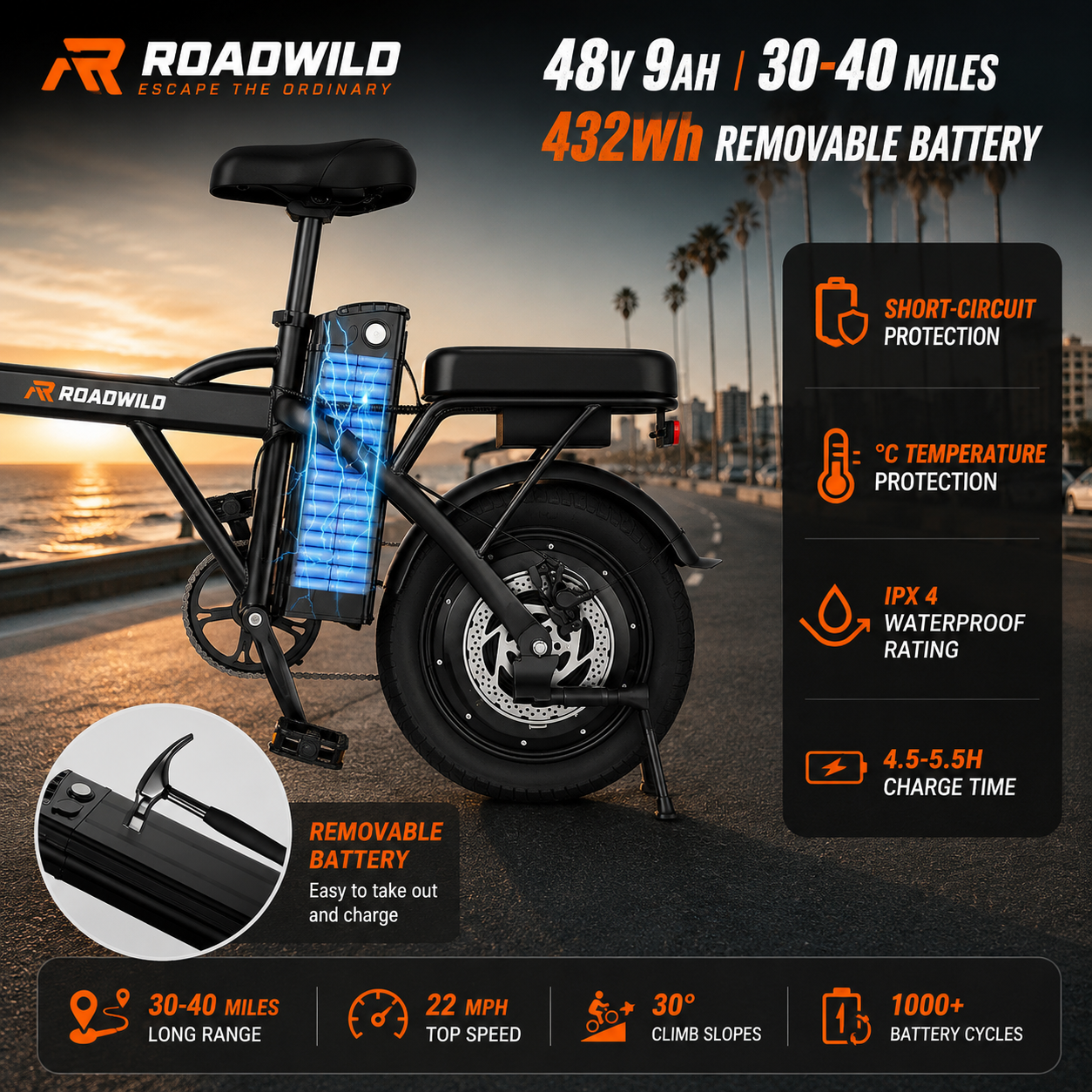 ROADWILD COASTRUNNER Y Electric Bike - Close Up
