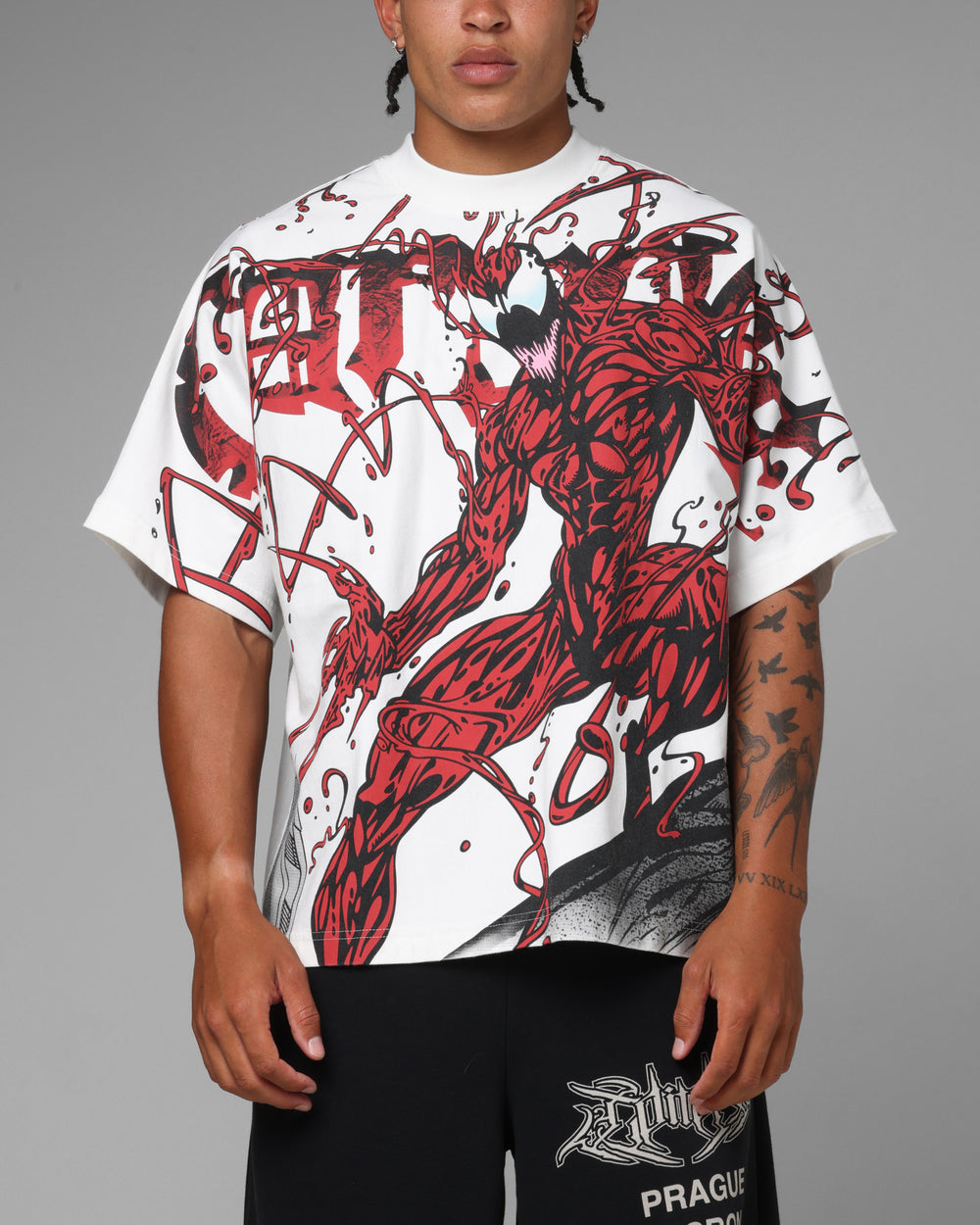 SPIDER-MAN Classic 100%Cotton Tee T-Shirt Unisex