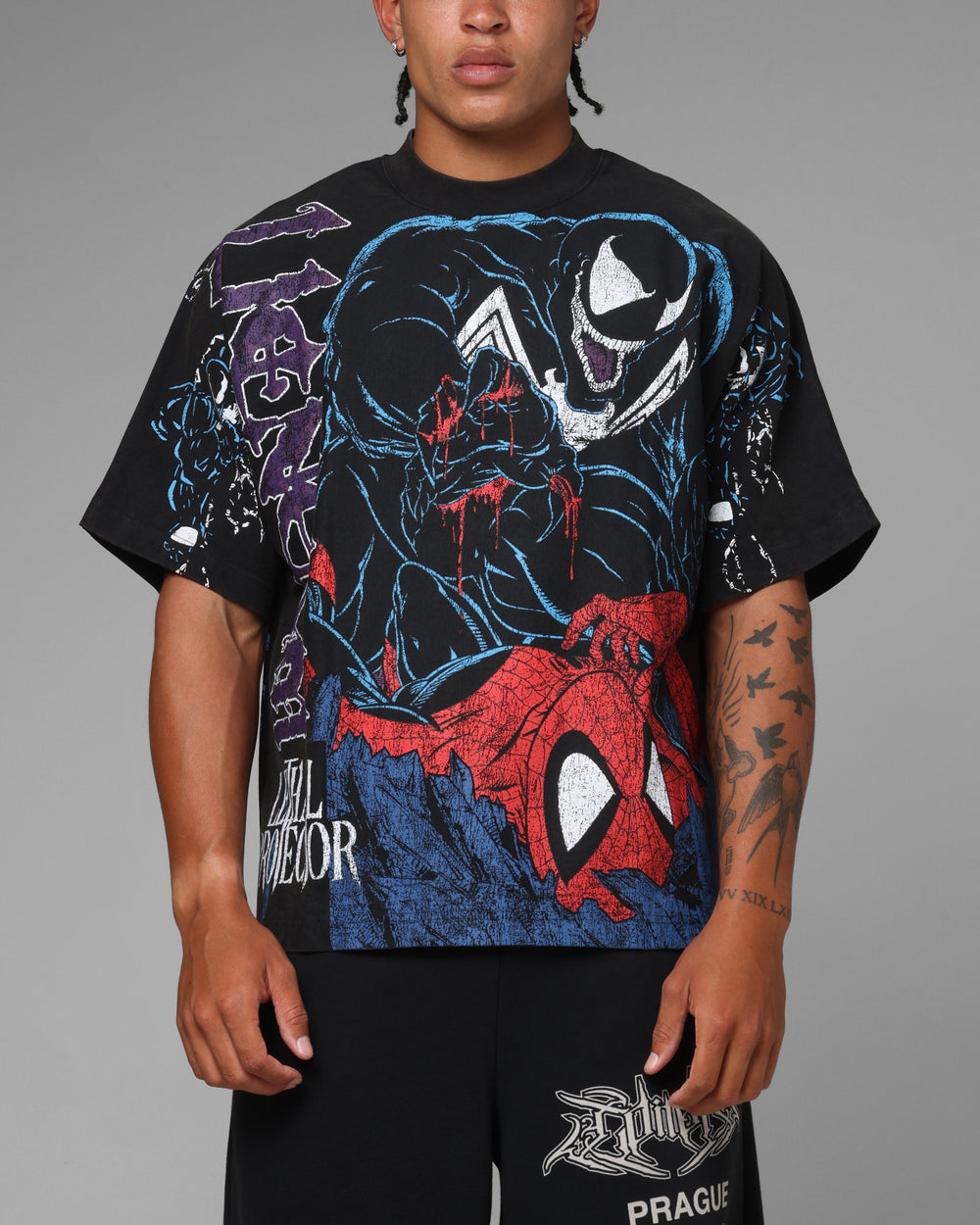 SPIDER-MAN Classic 100%Cotton Tee T-Shirt Unisex