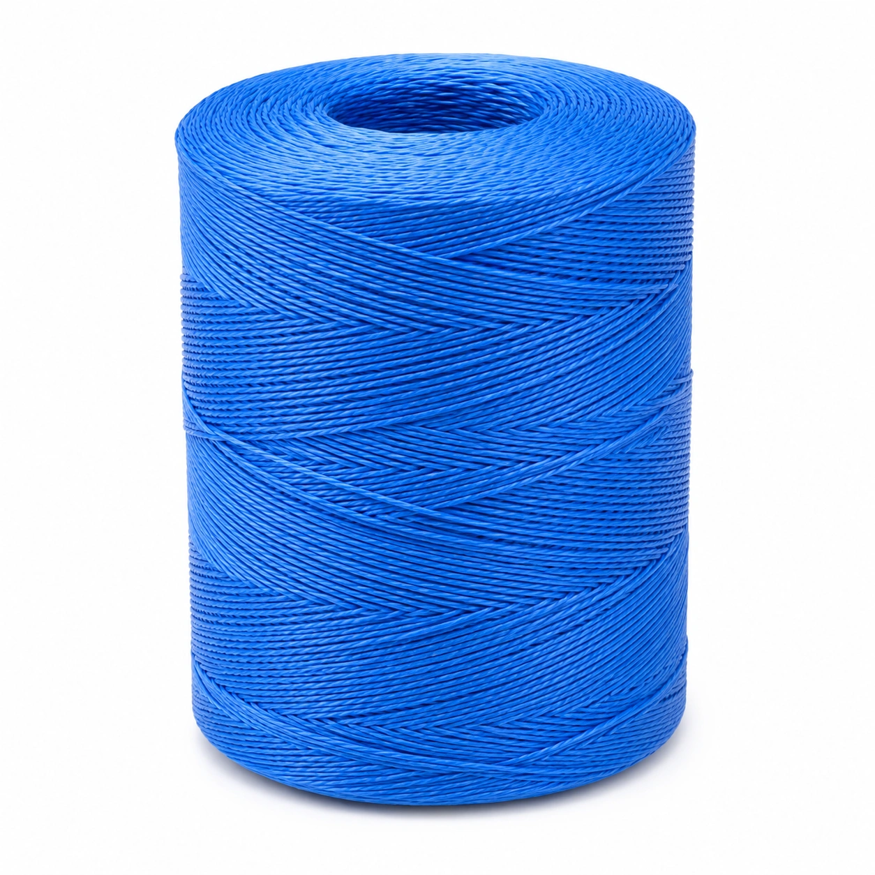 Polyester Flechtschnur Blau-Roomorax