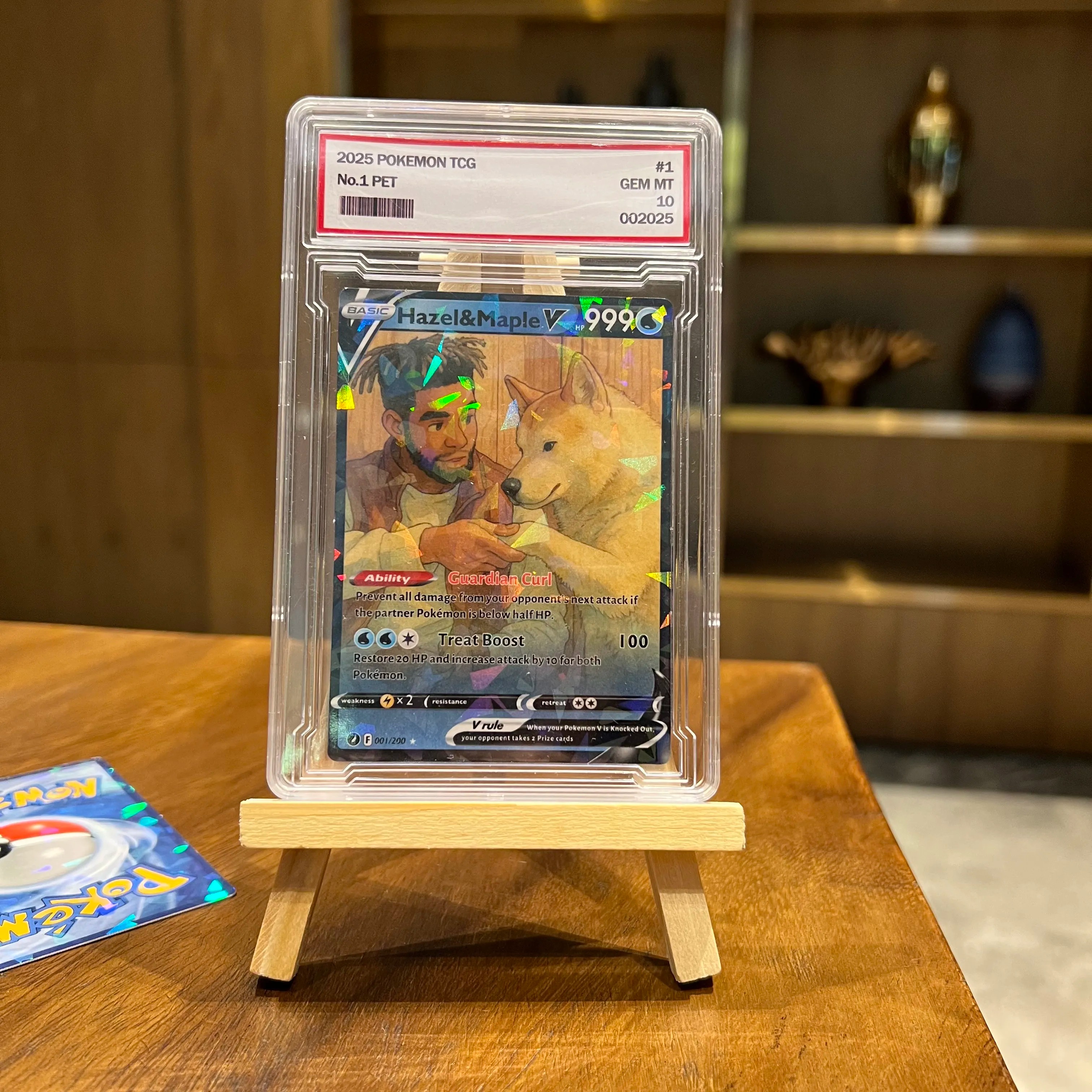 Custom Anime Pet & You Team V Card Pokecard For Pet Lovers