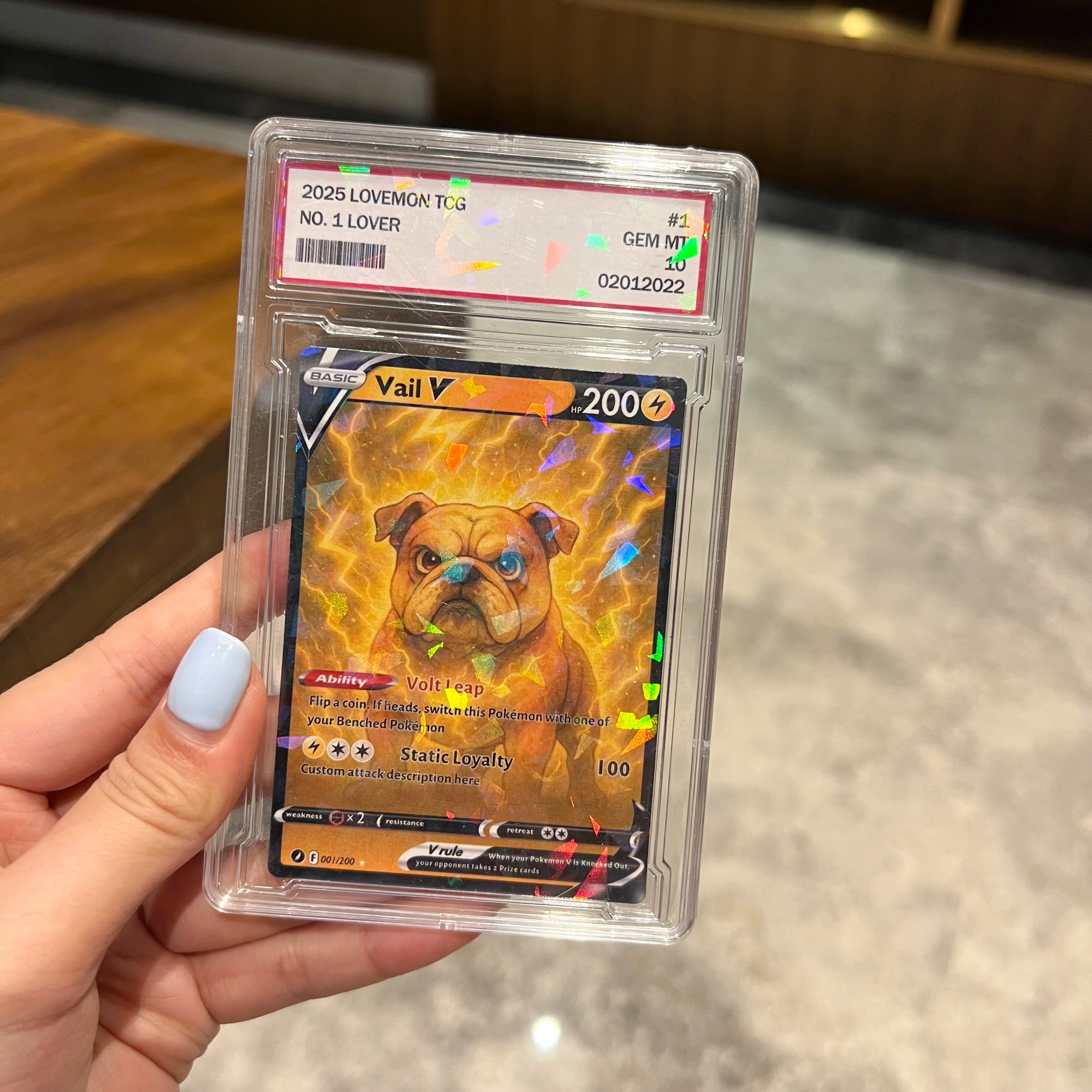 Custom Anime Pet 8 Types V Card For Pet Lovers