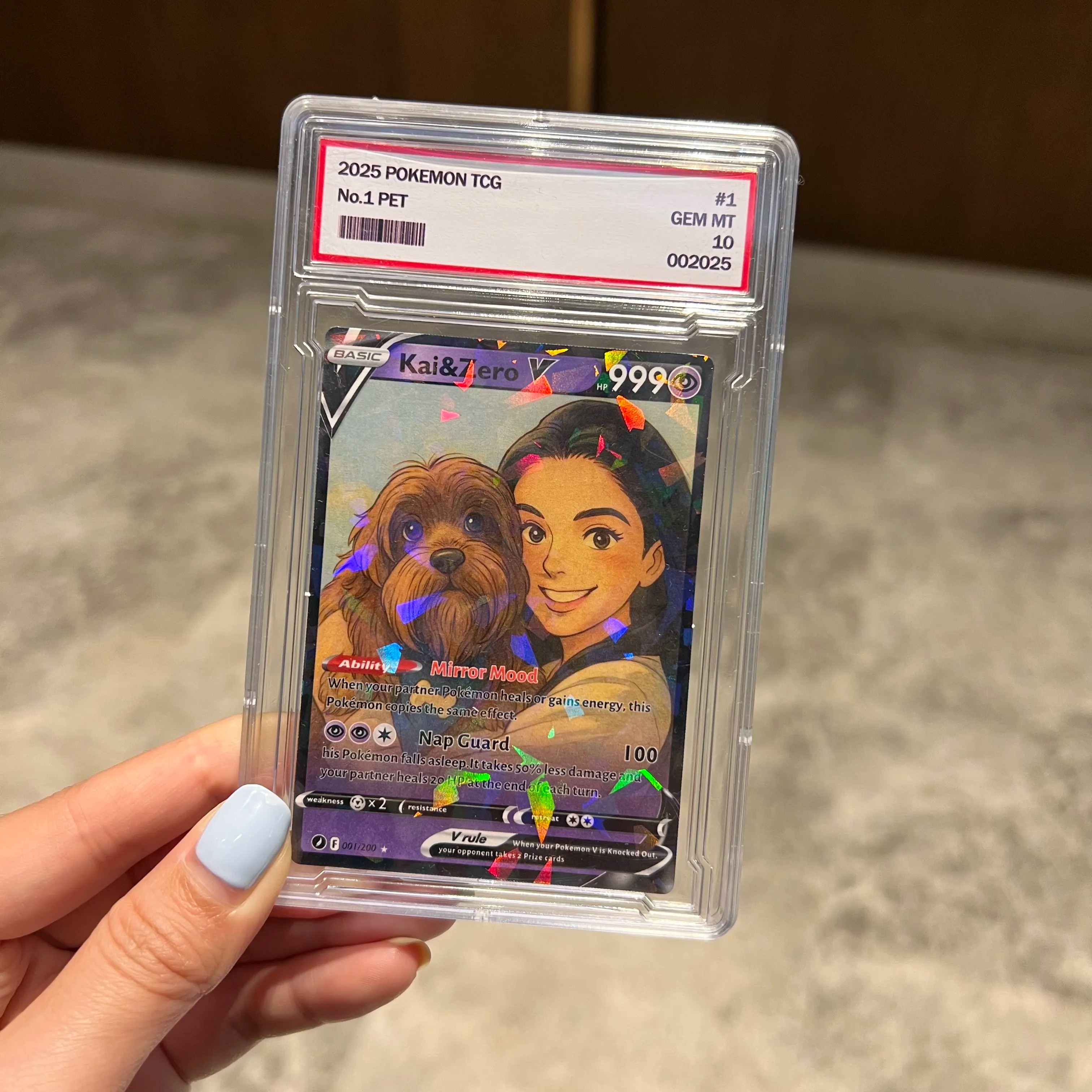 Custom Anime Pet & You Team V Card Pokecard For Pet Lovers