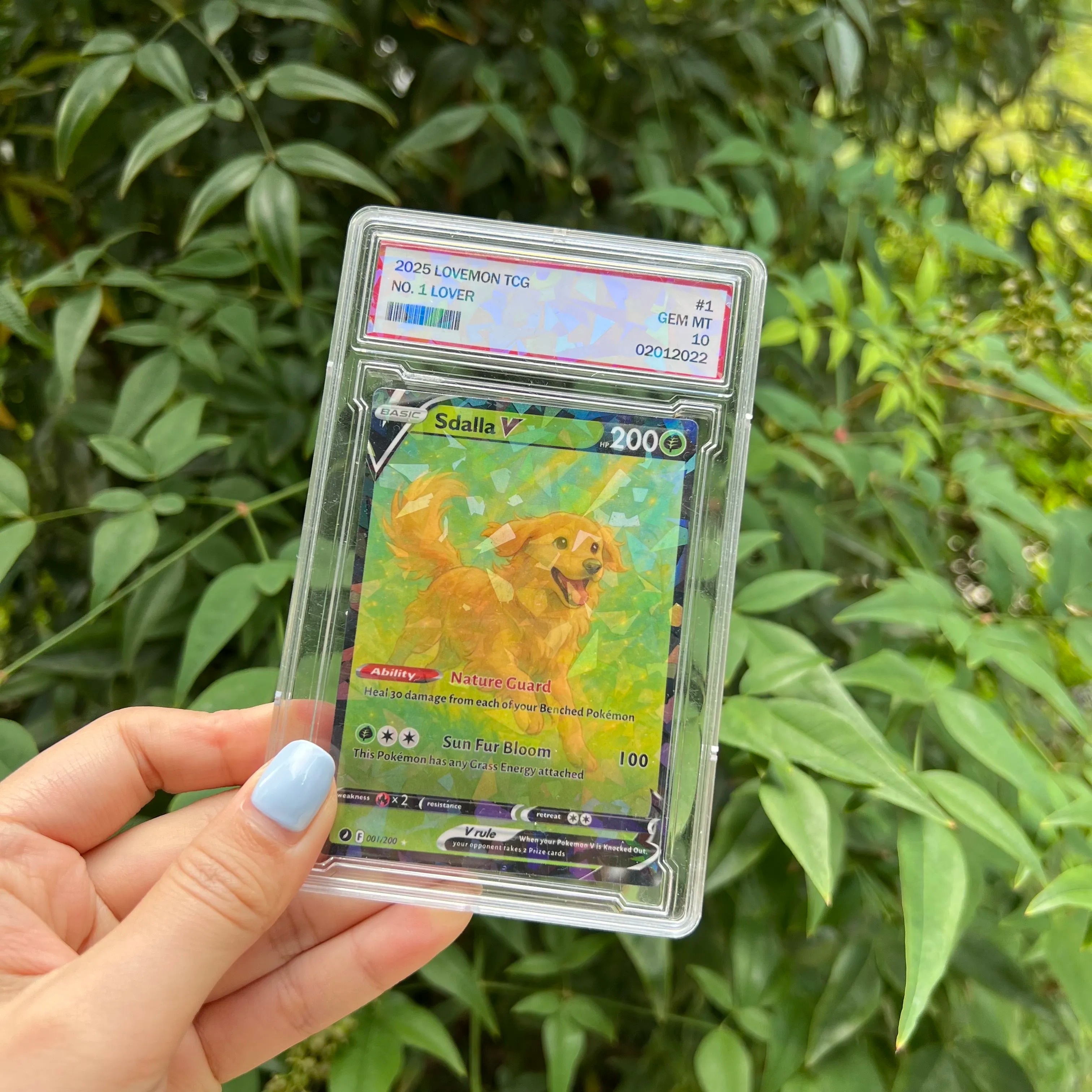Custom Anime Pet 8 Types V Card For Pet Lovers