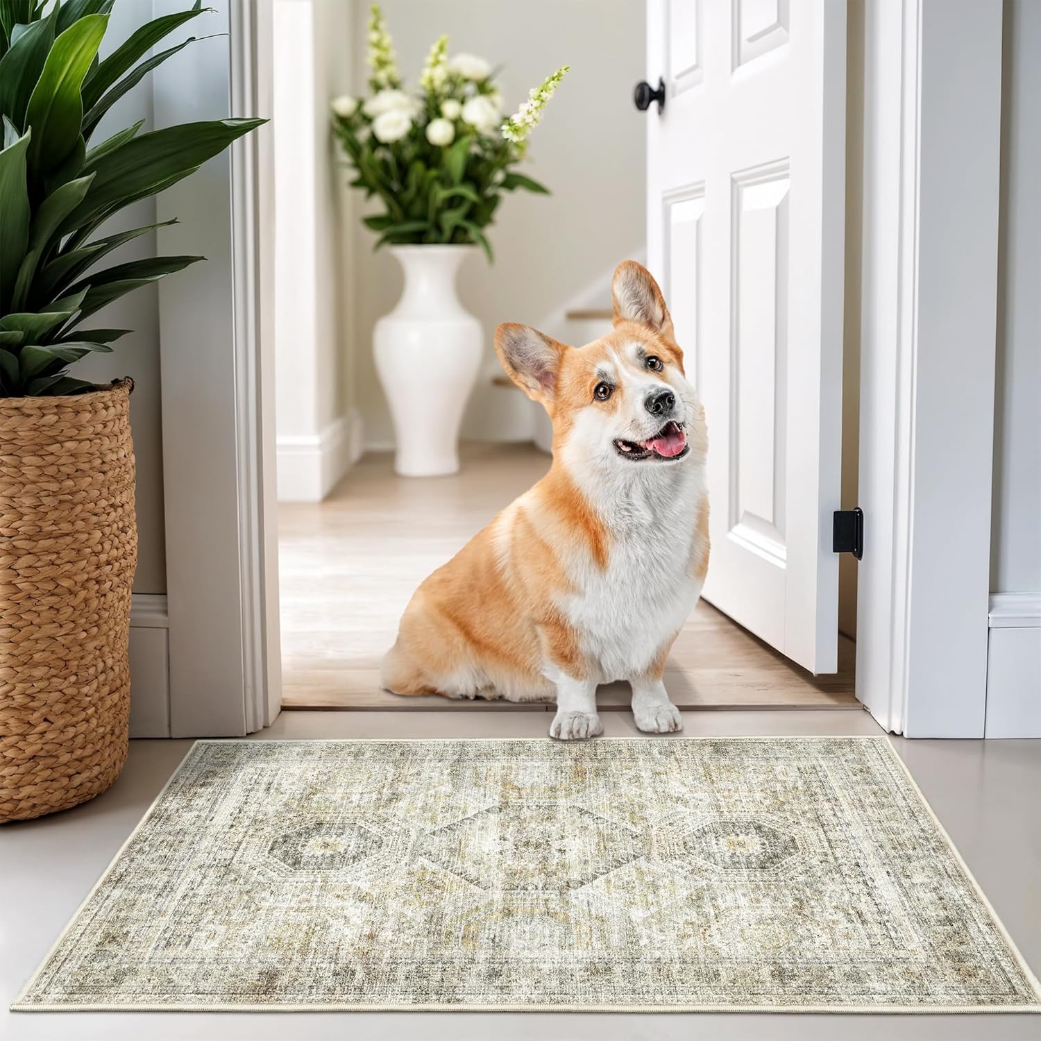 Rug Runners for Hallways Non Slip