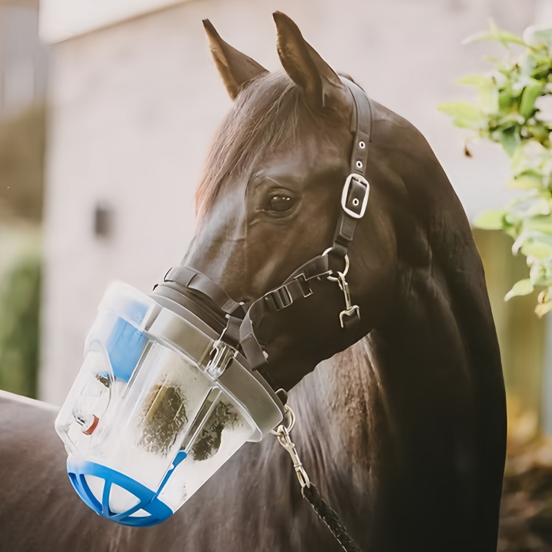 Horse wearing the nebulizer setup outdoors near a wall