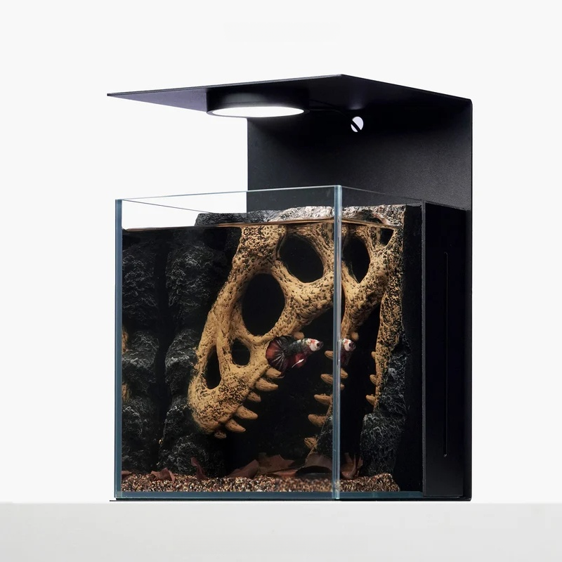 Ancient Echo Aquascape Desktop Aquarium-Handcrafted Underwater Landscape Ecosystem