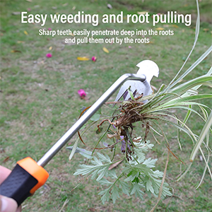 weed Remover tool,weeding tool,weed tool