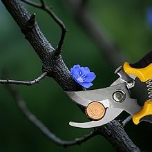 stainless steel pruning shears pruning snips clippers gardening