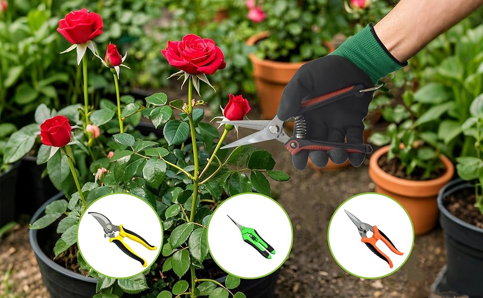 garden pruning shears scissors