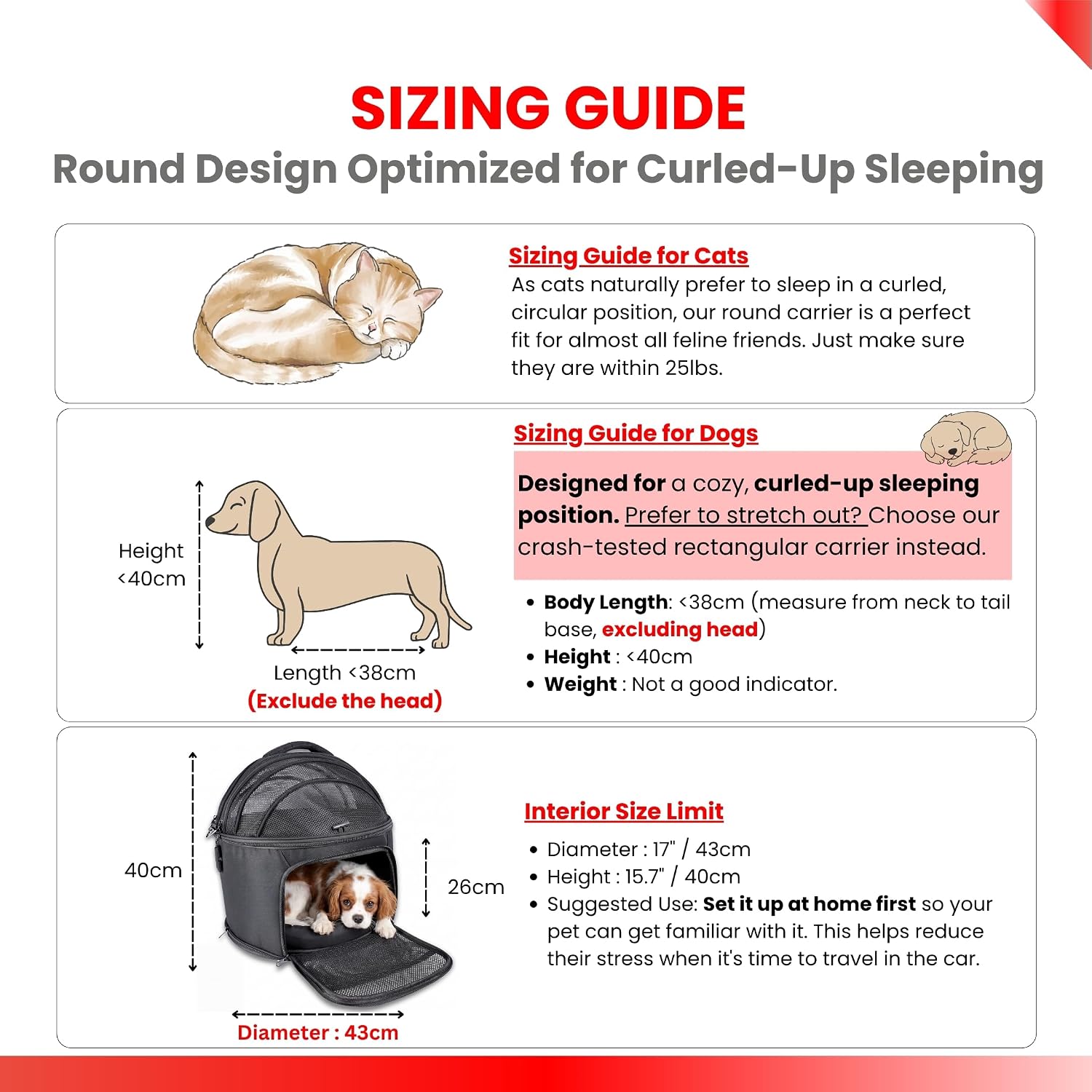 3-in-1 Crash-Tested Pet Carrier