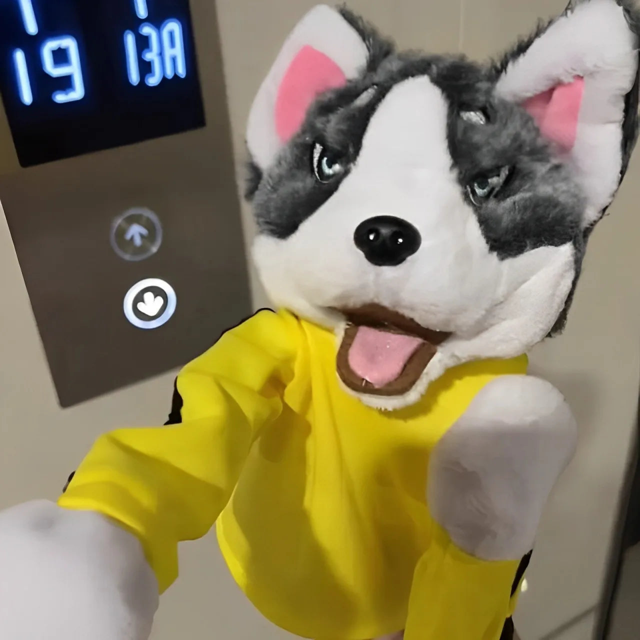 Interactive Plush Animal Boxing Dog Toy – Automated Pet Play & Teaser System